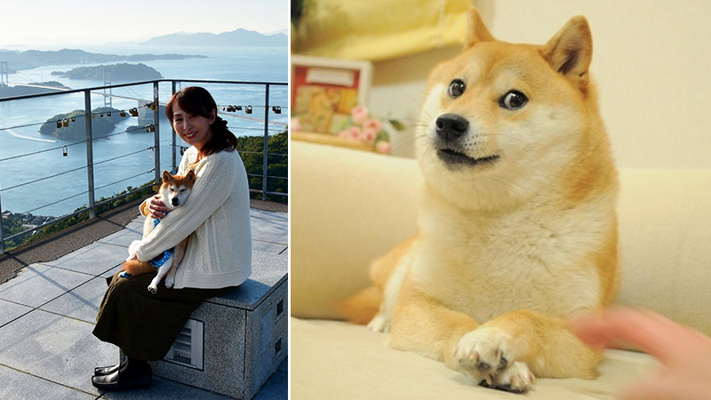"Doge", 4 Milyon Dolarlık Ether Getirerek En Pahalı Meme Oldu