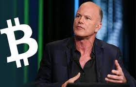 Mike Novogratz: Bitcoin Ödemeler İçin İyi Değil