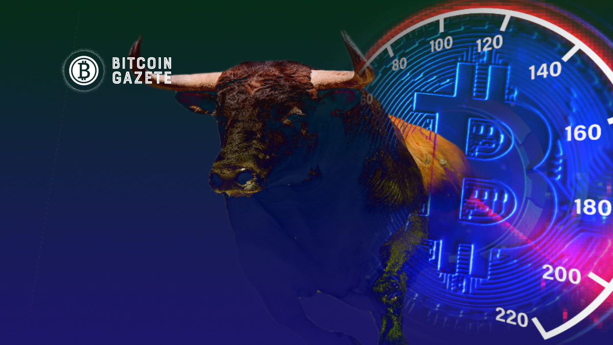 btc boğa