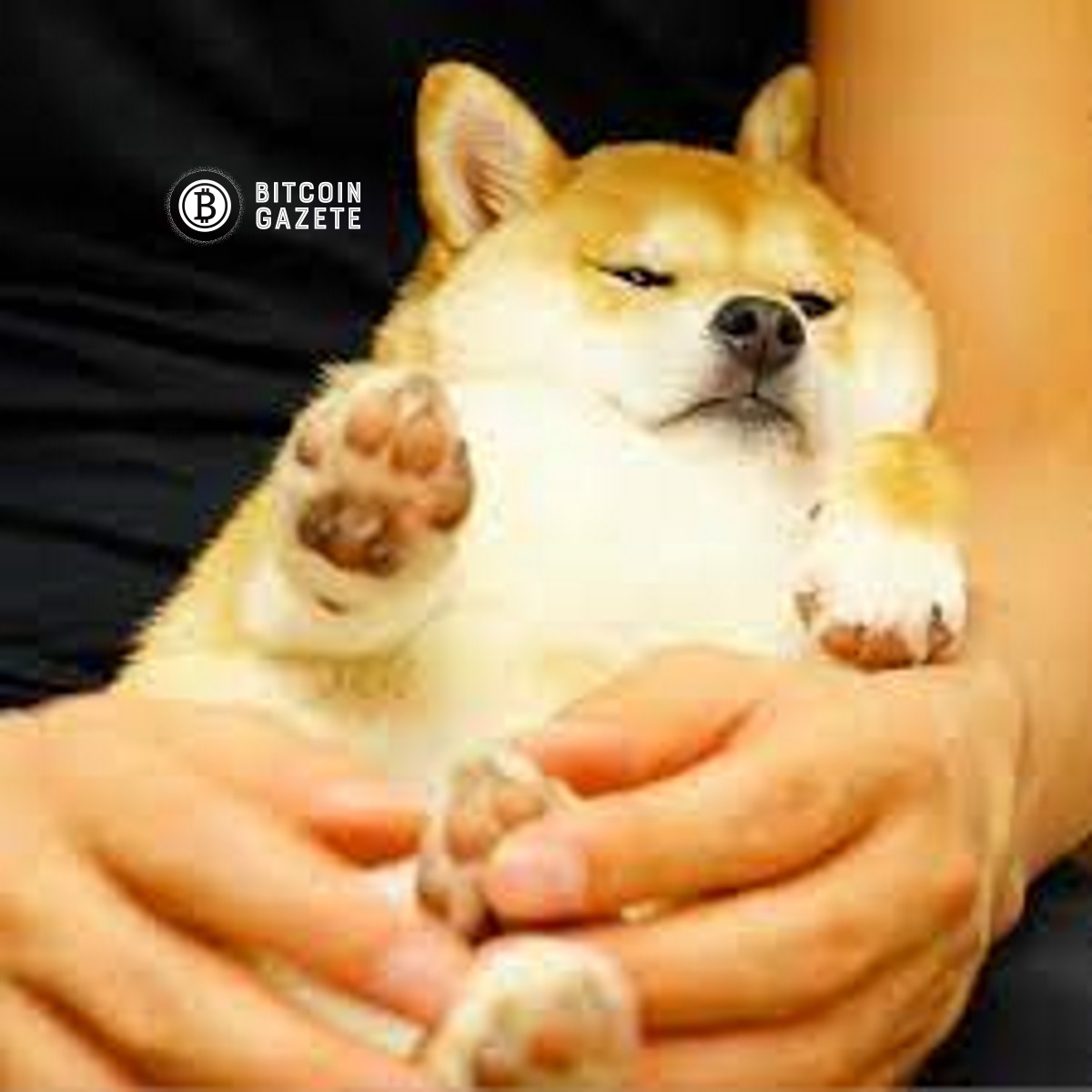 Baby DogeCoin-