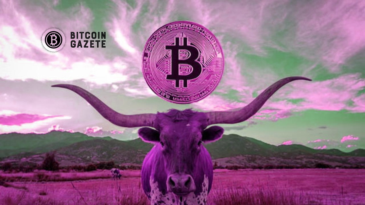 Bitcoin Fiyat Analizi : BTC hızla 48.000 $’a yaklaşıyor, ardından kopuş mu?