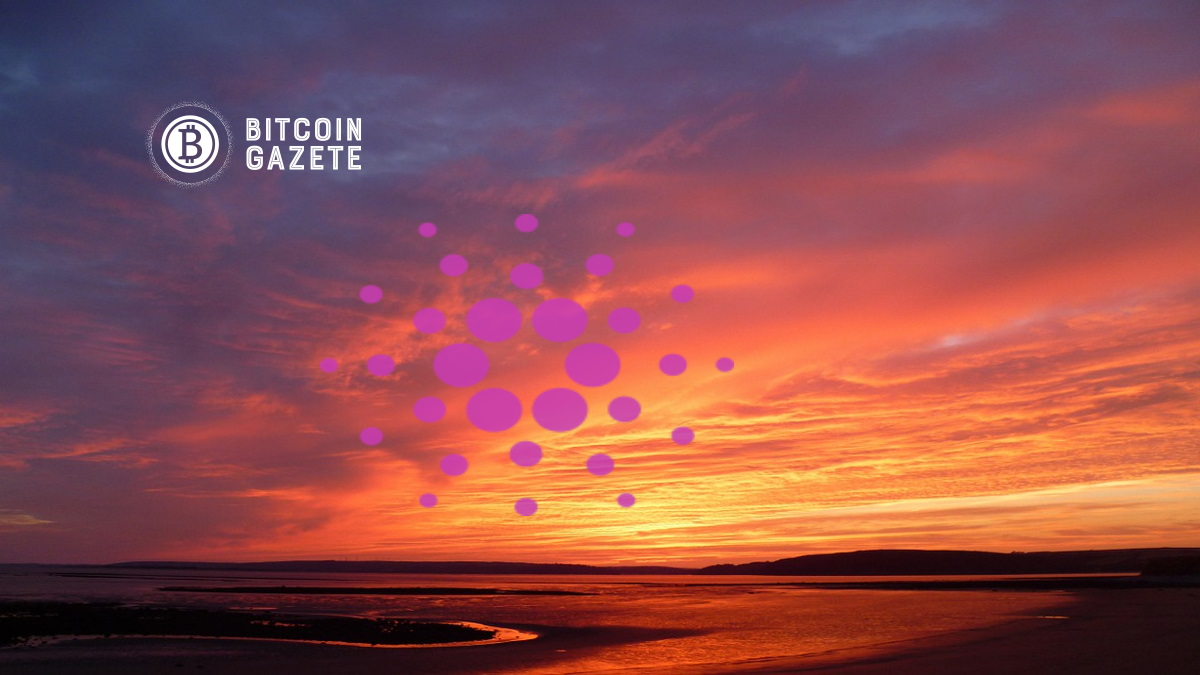 Cardano (ADA) Zirveden Yüzde 50 Düştü: Olası Nedenler