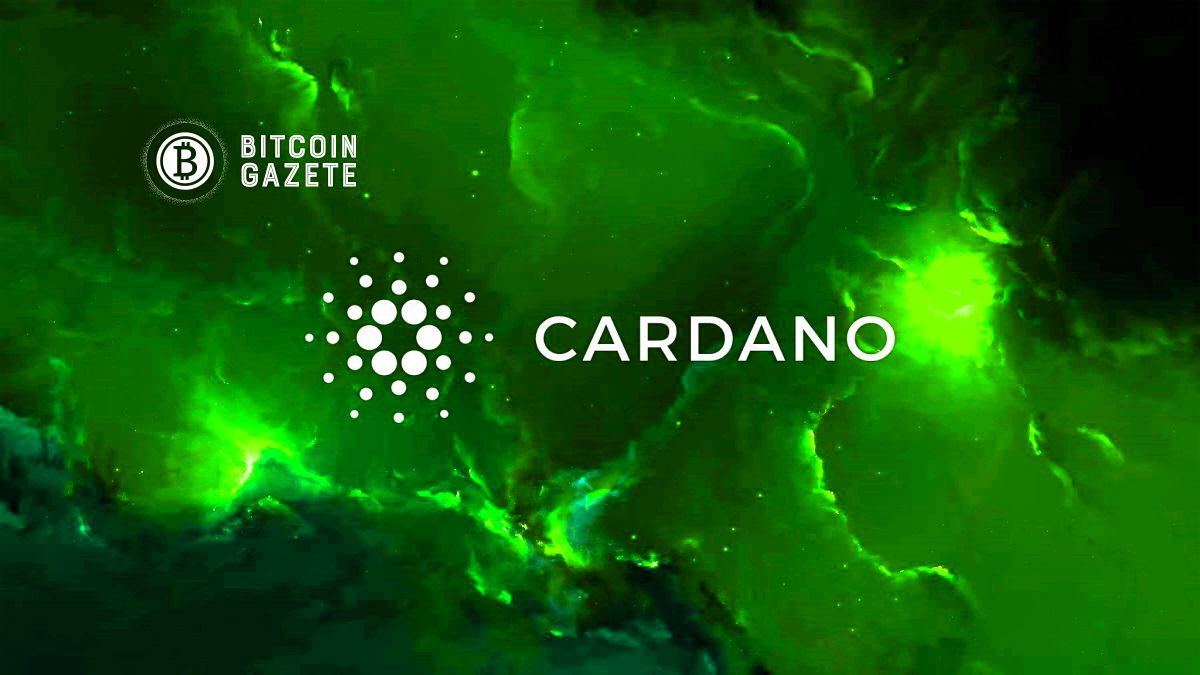 Cardano nun yeni stake adresleri birkaç ayda Yüzde 24 artarak 150.000’e ulaştı