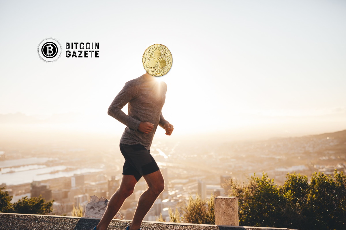 Ripple Fiyat Analizi : Boğalar Yüzde 12,5 Haftalık Artışın Ardından 2020’nin En Yükseklerini Artırdı