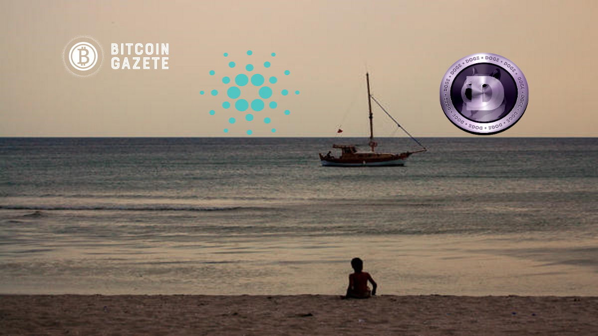 En İyi Analist, Önümüzdeki Haftalarda Cardano Arz Sıkıntısını Öngörüyor, Dogecoin’in Bir Sonraki Ayak Yukarıya’ Hazır Olduğunu Söylüyor