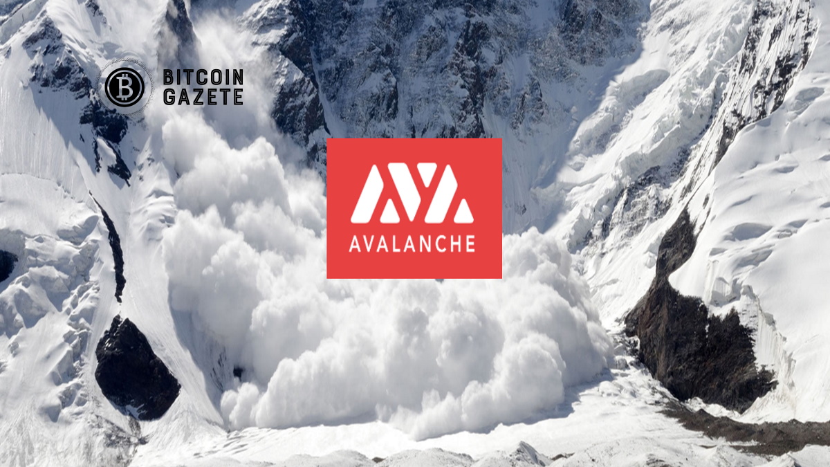Avalanche (AVAX) İki Ayda Yüzde 800 Artmasının 3 Nedeni
