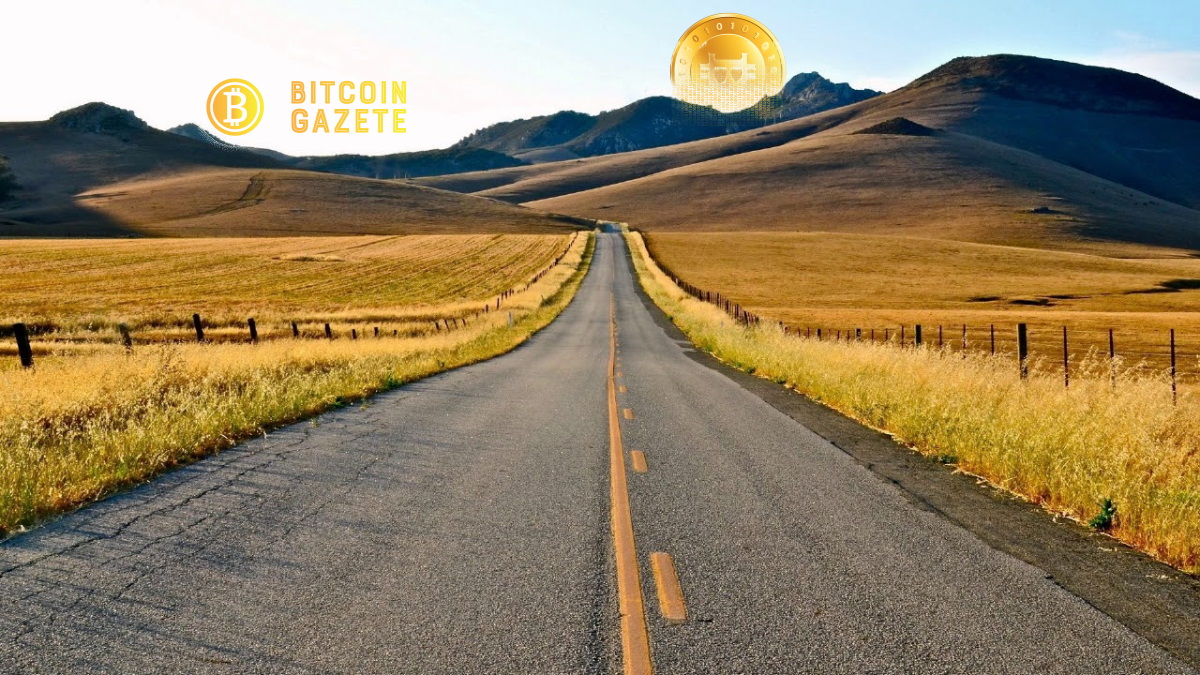 Bitcoin Fiyat Analizi: BTC 44.000 Dolar Engelinde