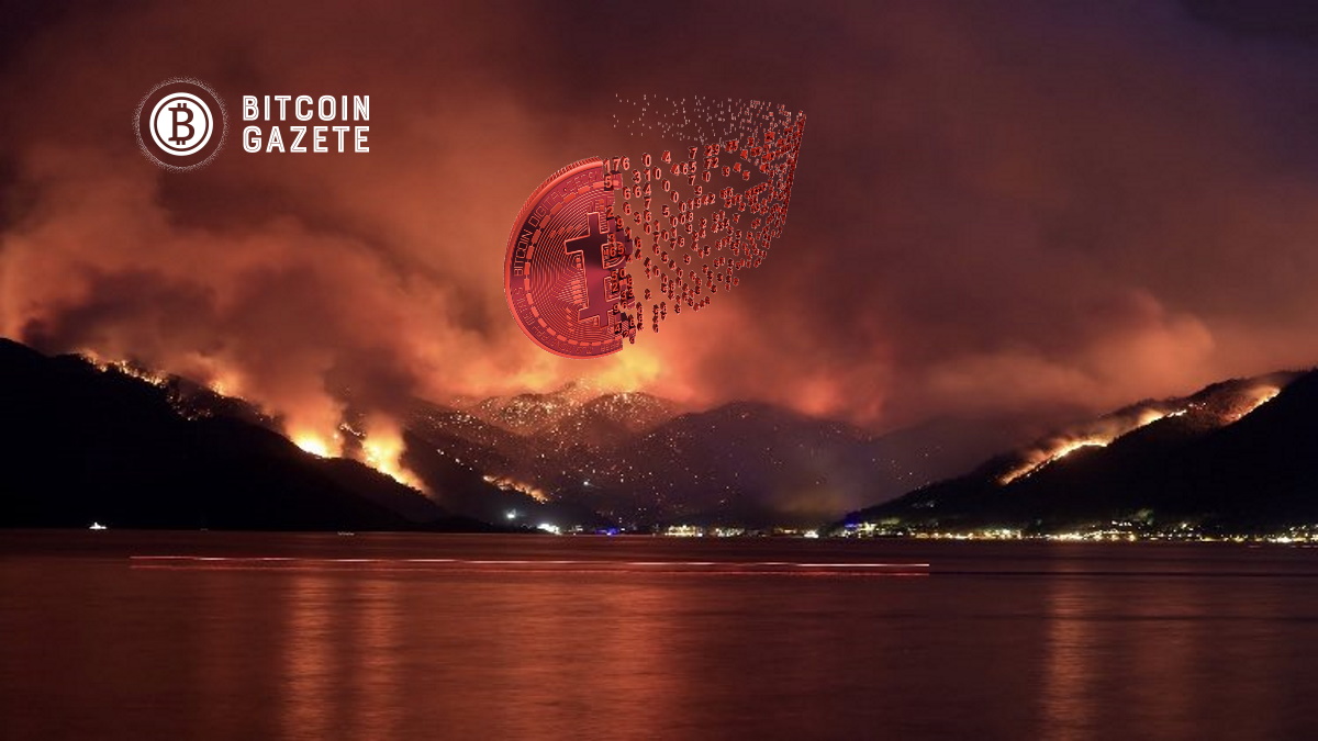 Bugün’kü Bitcoin Fiyatı Ve Küresel Kripto Piyasası Yangınının Ana Nedeni