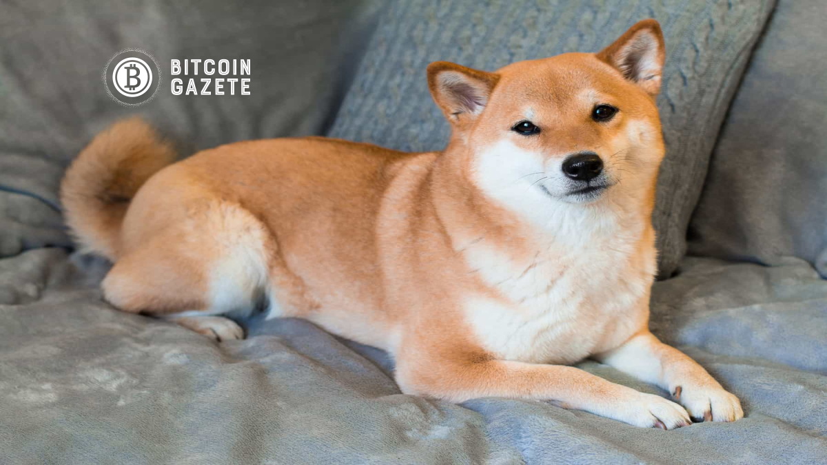 SHIBA INU (SHIB) NEDİR?