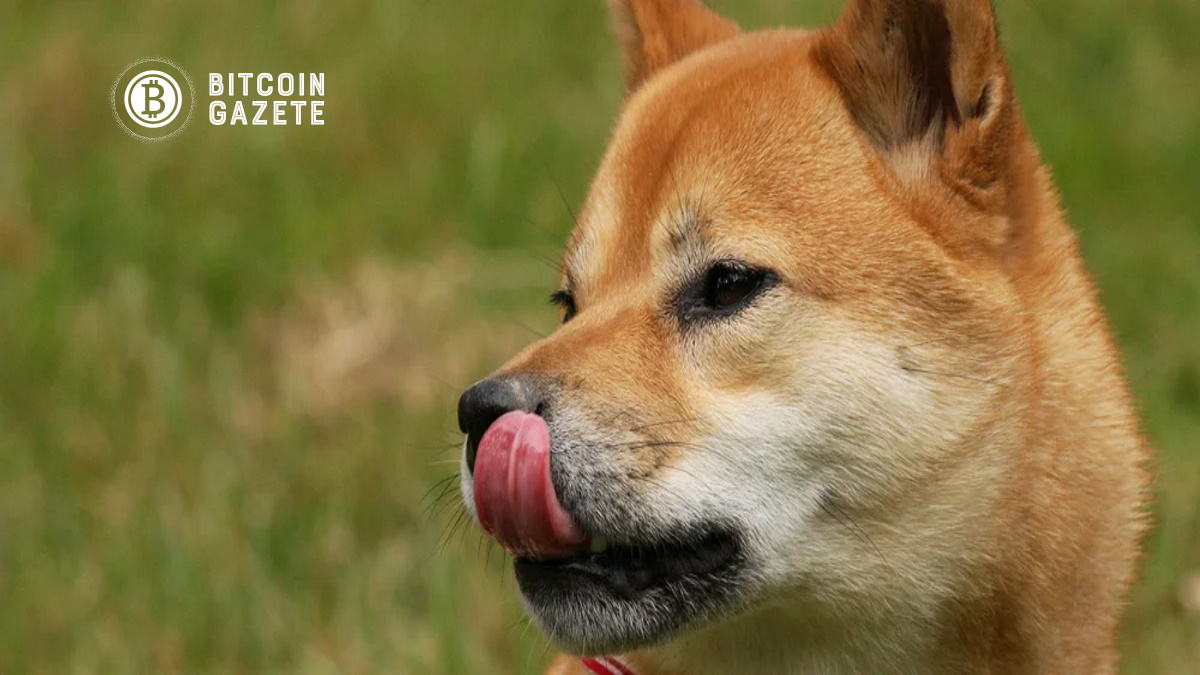 Shiba Inu (SHIB) NFT’leri Taban Fiyatı Artık 1 ETH’nin Üzerinde Otururken Dalgalanıyor