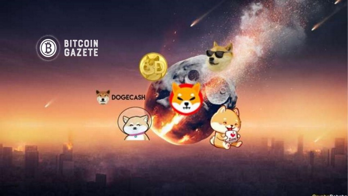 Shiba Inu yükselirken Dogecoin KALABİLİR!