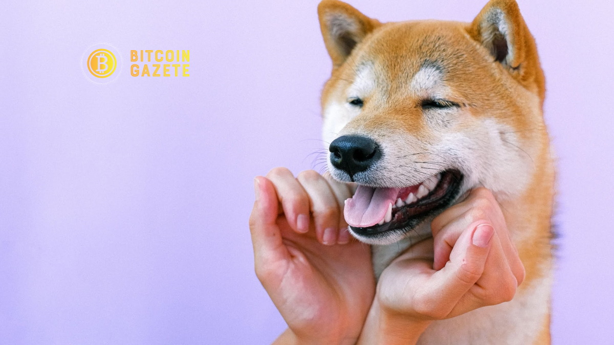 Shiba Inu "Son Teknoloji" Moda Ortaklığını Duyurdu
