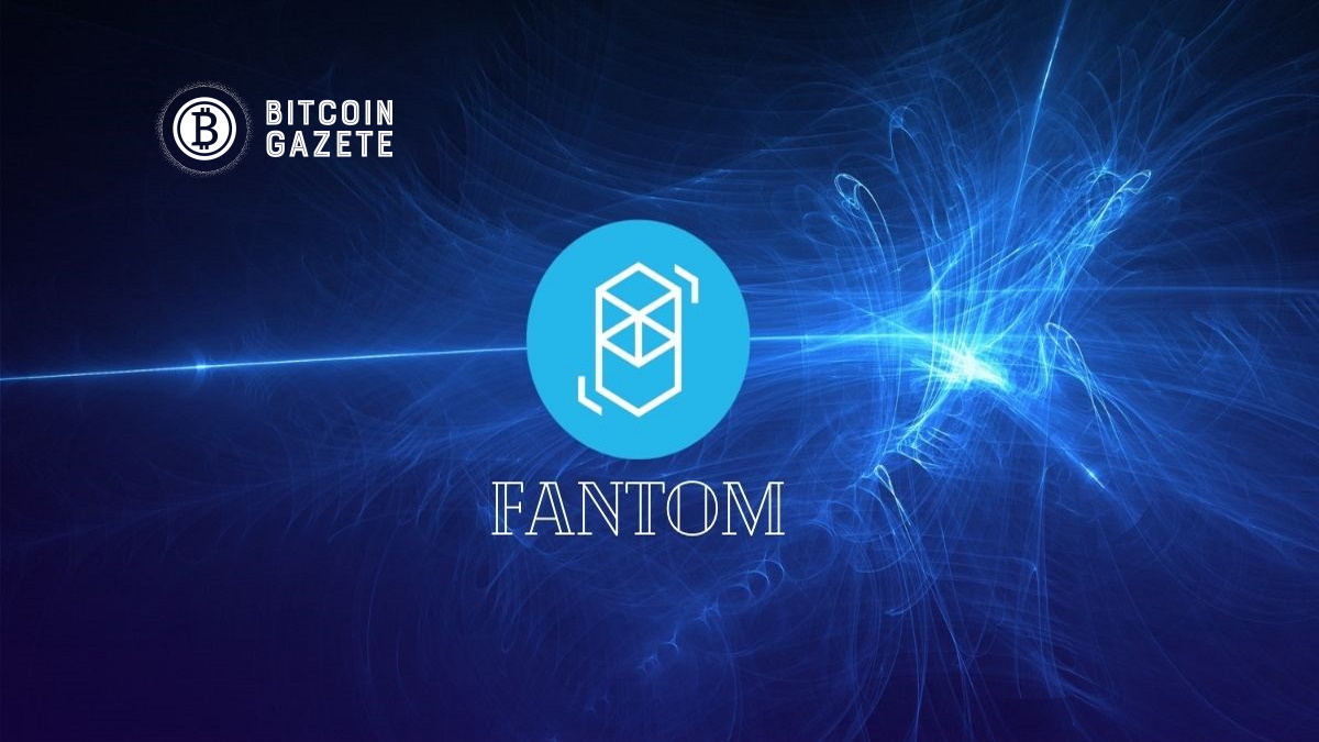 Conor Kenny’ye Göre Bu Altcoin Mart 2022’De Patlamaya Hazır
