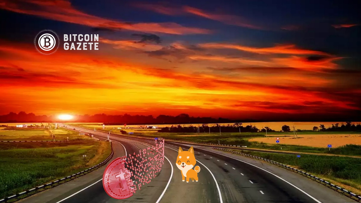 Haftalık En İyi 30 Altcoin’in Tümü BTC’ye Karşı Çöktü: Shiba Inu (SHIB) Yüzde 80 Artan Tek Altcoin