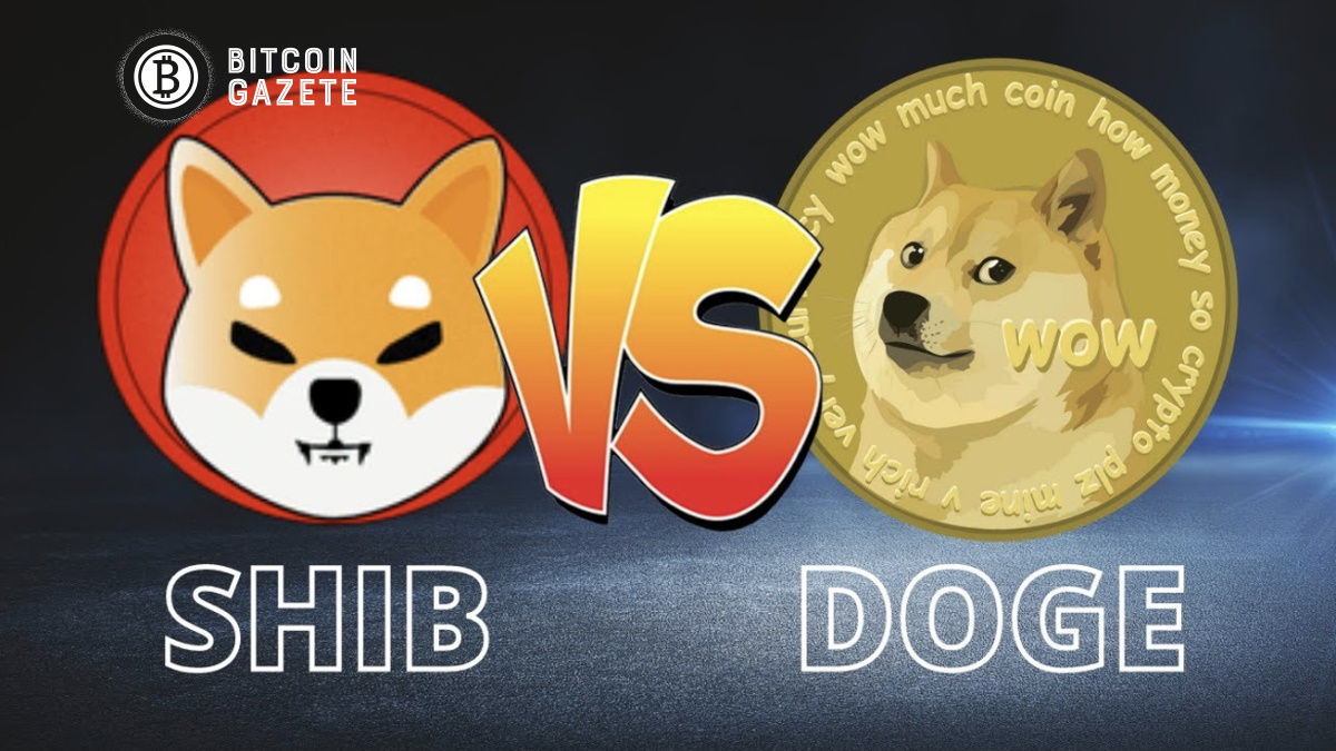 Shiba Inu Ekibi Metaverse, Dogecoin Creator Slams Projesini Açıkladı