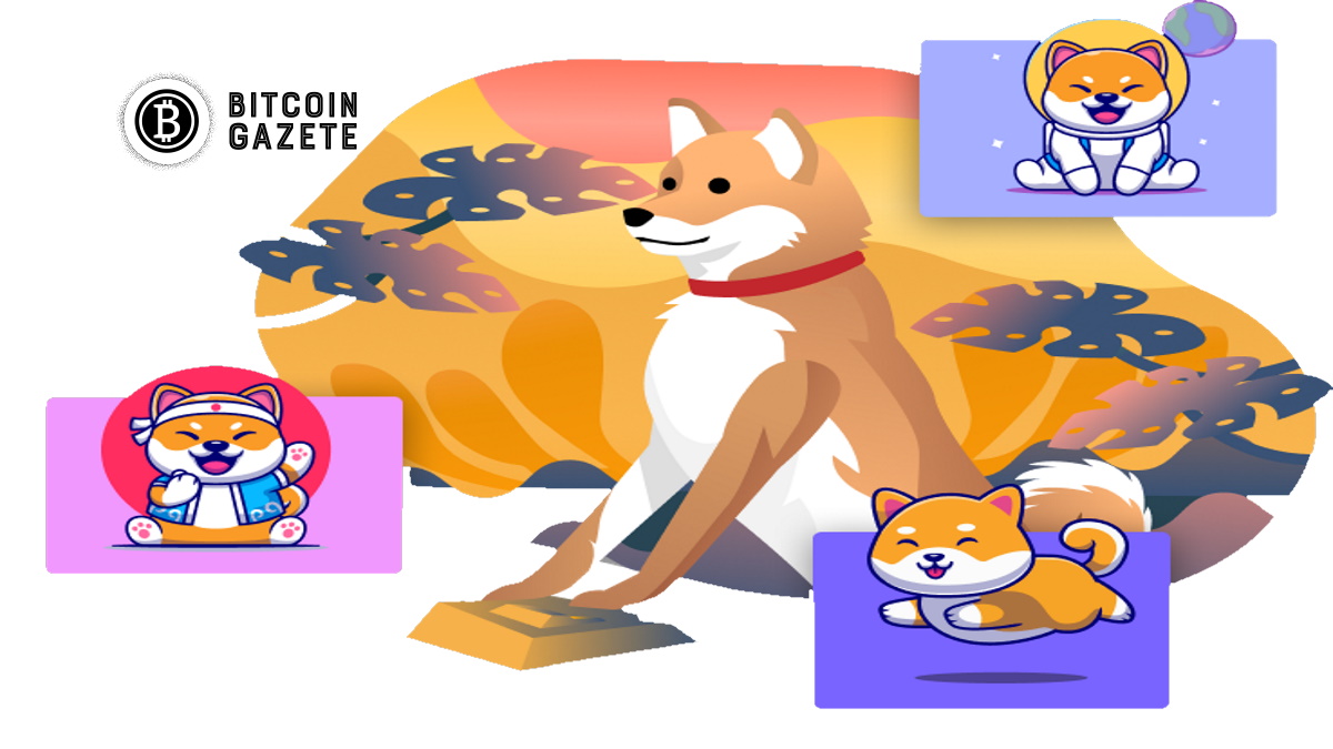 Shiba Inu NFT’leri, gaz ücretleri kullanıcıları kızdırdığı için 35 dakikada tükendi