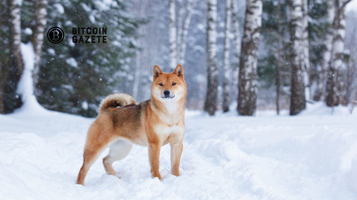 Shiba Inu, Carolina Hurricanes Tarafından Kabul Edilecek