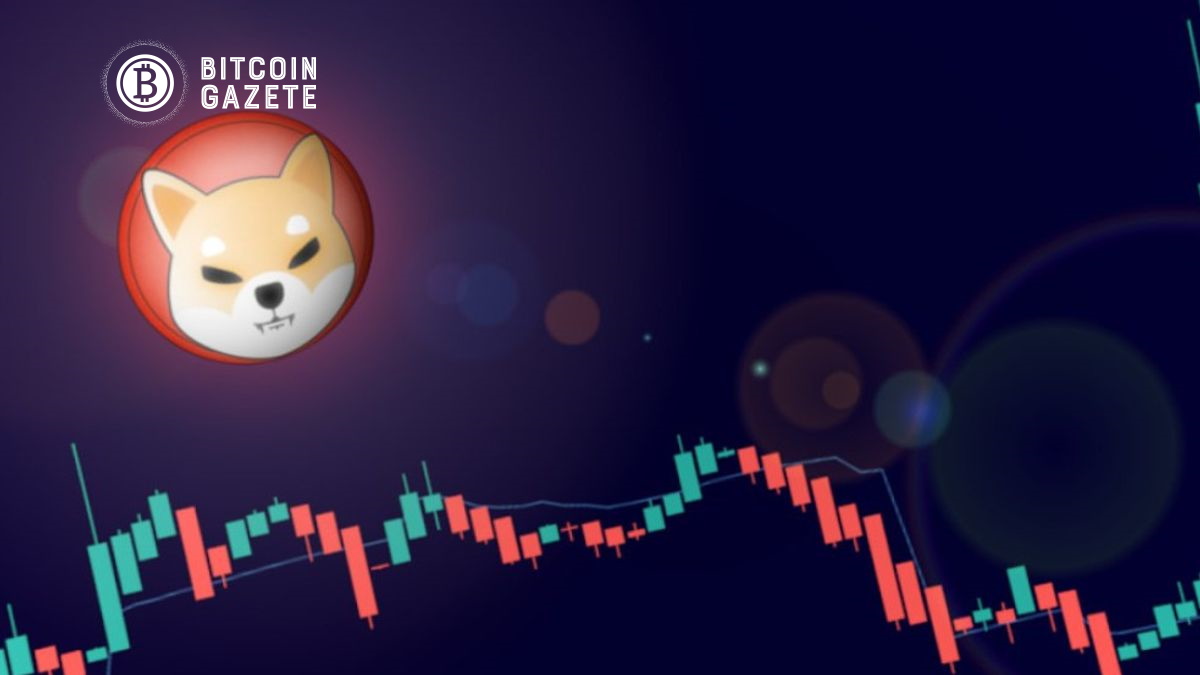 Shiba Inu fiyat analizi: SHIB, 0,00002414 dolardan düşüşe devam mı?