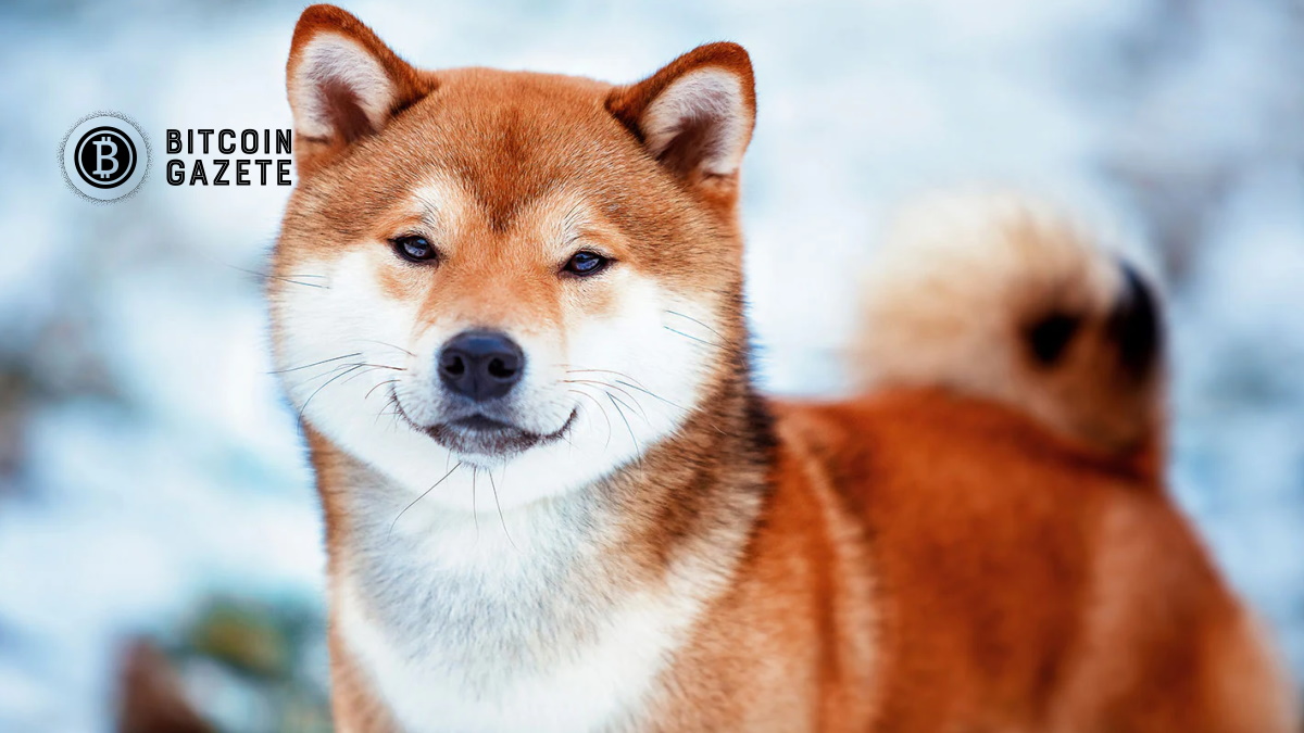 Shiba Inu Yeni Başlıyor, SHIB Ne Kadar İleri Gidecek?