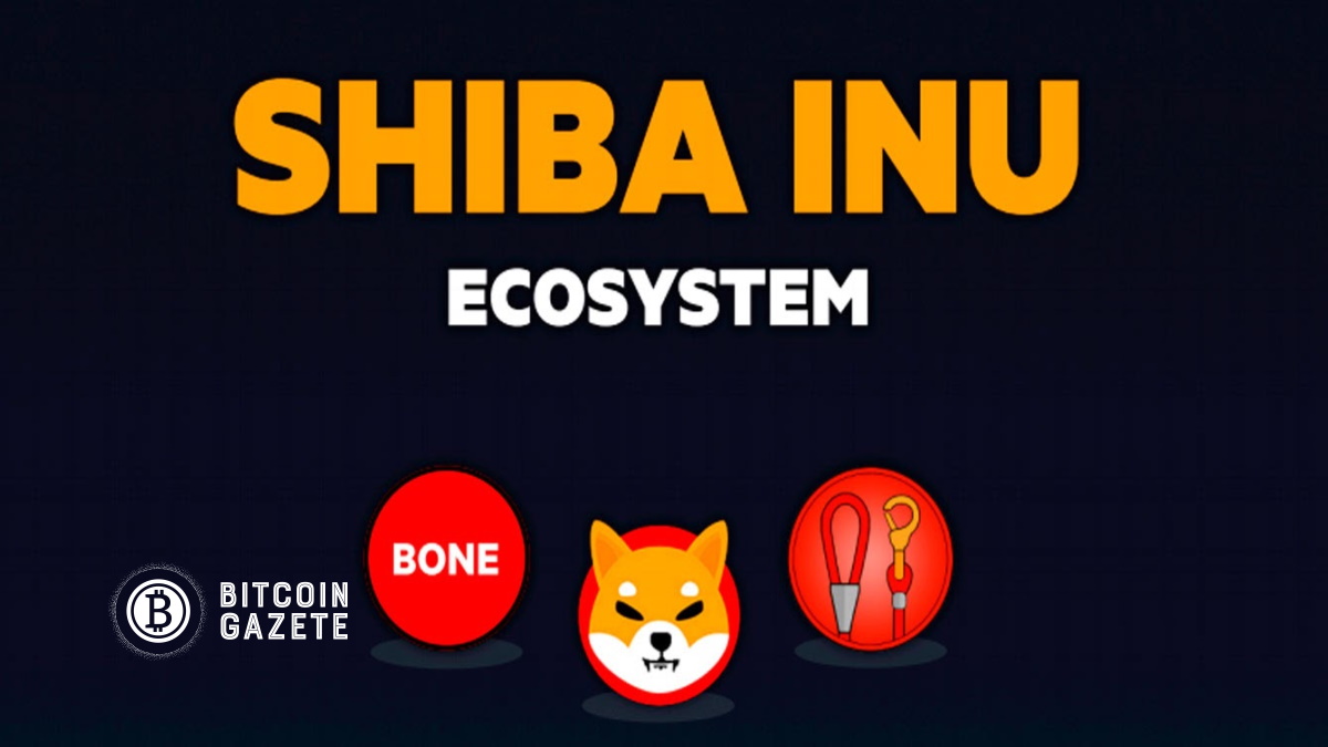 Shiba Inu ekosistemini anlamak