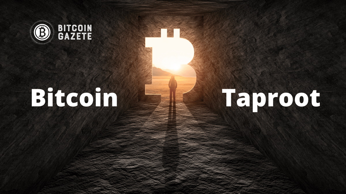 Bitcoin Taproot Yükseltmesi 14 Kasım’da Etkinleştirilecek