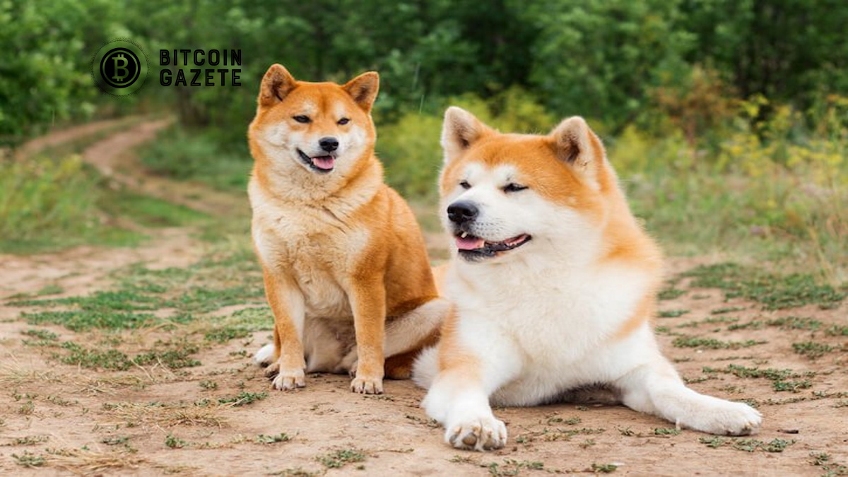 Dogecoin bir güvenlik’ sorunu ise, SEC ile neler olabilir?