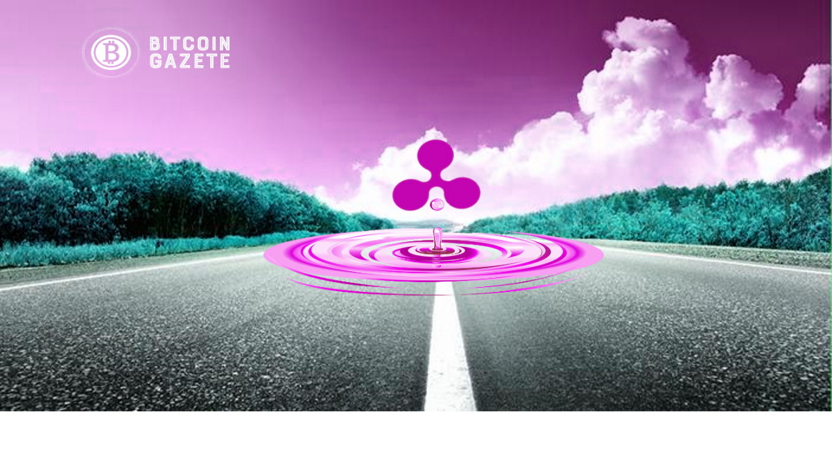 Bu XRP Balinası, Borsadan 10 Milyon Jeton Çekerek Piyasaya İnanıyor
