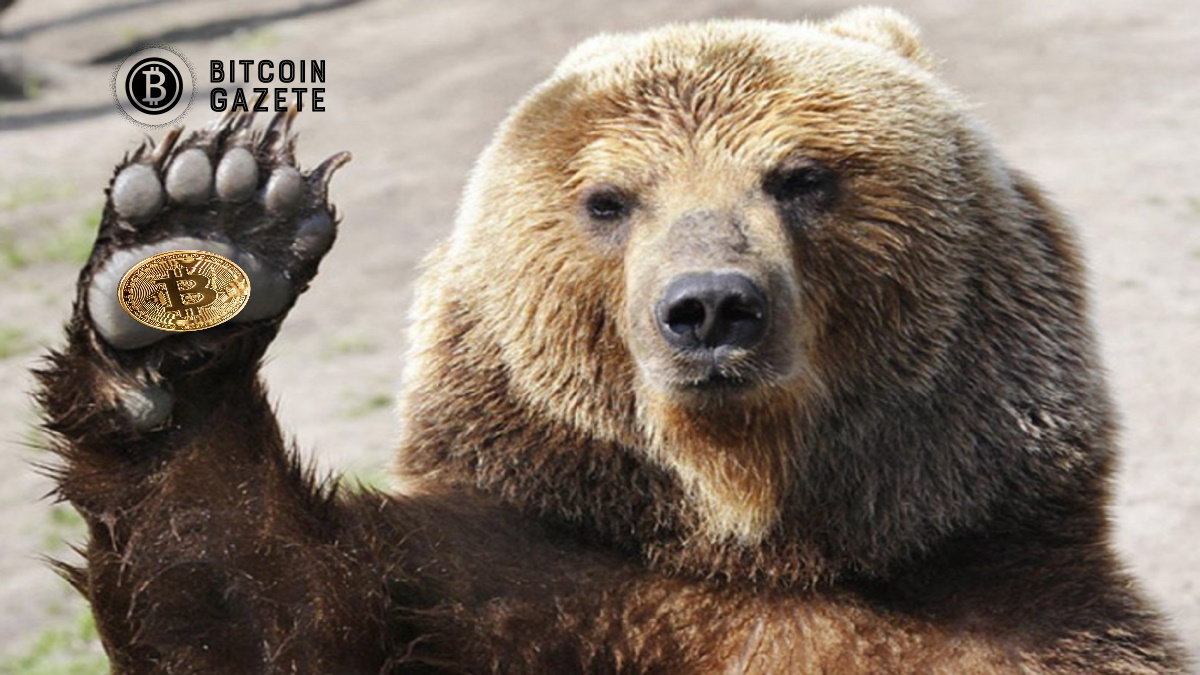 Geçmiş iki Bitcoin ayı koşusunun analizi