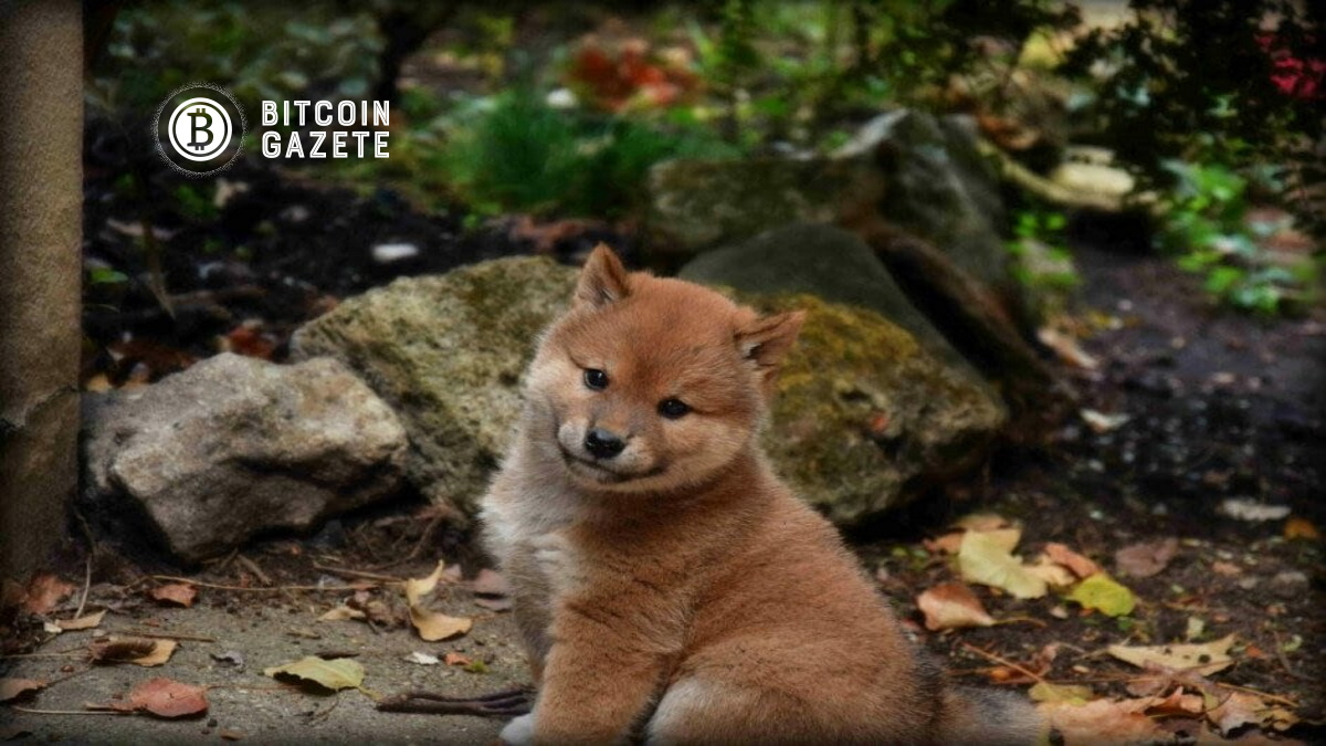 Floki Inu Nedir? 2022’de Memecoin Floki Inu için Fiyat Tahminleri