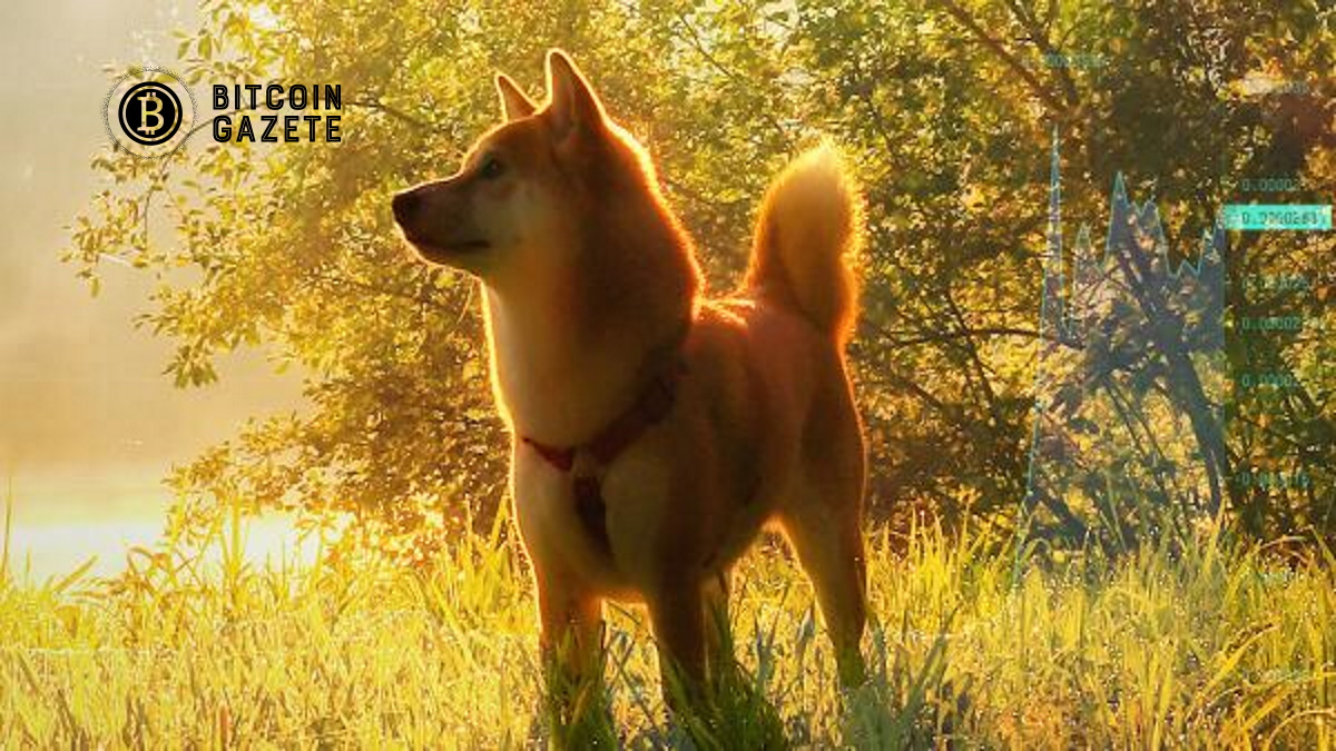 Shiba Inu Artık Newegg Tarafından Kabul Edildi