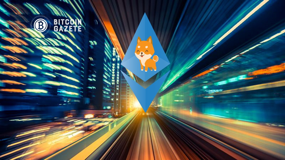 Shiba Inu Artık Ethereum’dan Daha Fazla Twitter Takipçisine Sahip
