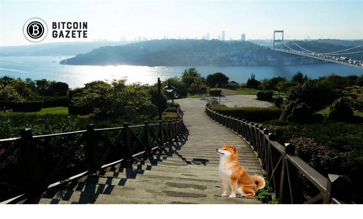 Shiba Inu Devs CoinMarketCap ile İşbirliğine Başladı