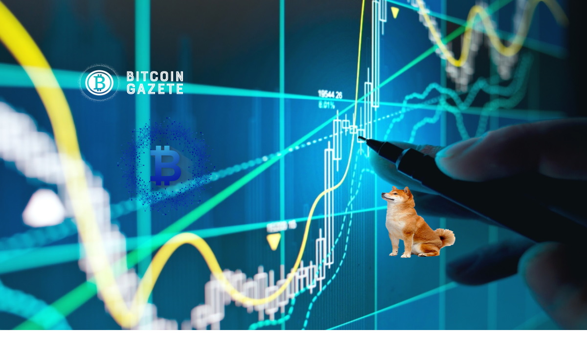 Shiba Inu, Bitcoin Cash Fiyat Analizi: 24 Aralık