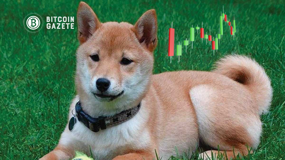 Shiba Inu (SHIB) Robinhood Listeleme Söylentilerinde Yüzde 8 Toplandı