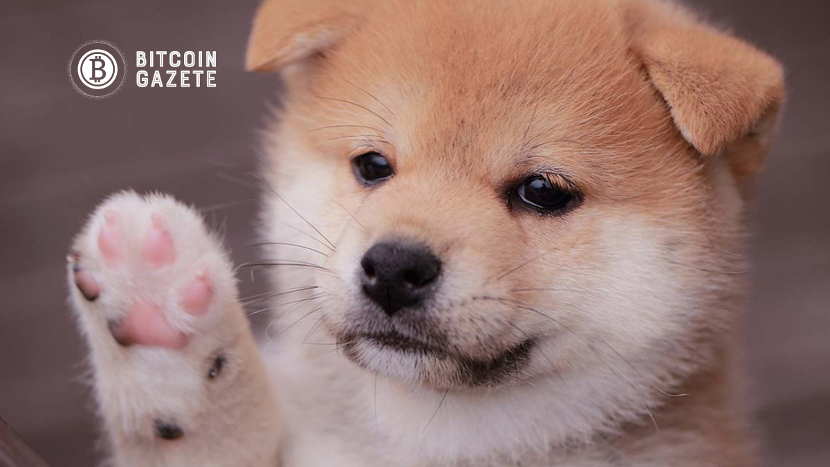BabyDoge, Shiba Inu’yu Çok Geride Bırakarak 1,4 Milyon Sahibe Ulaştı