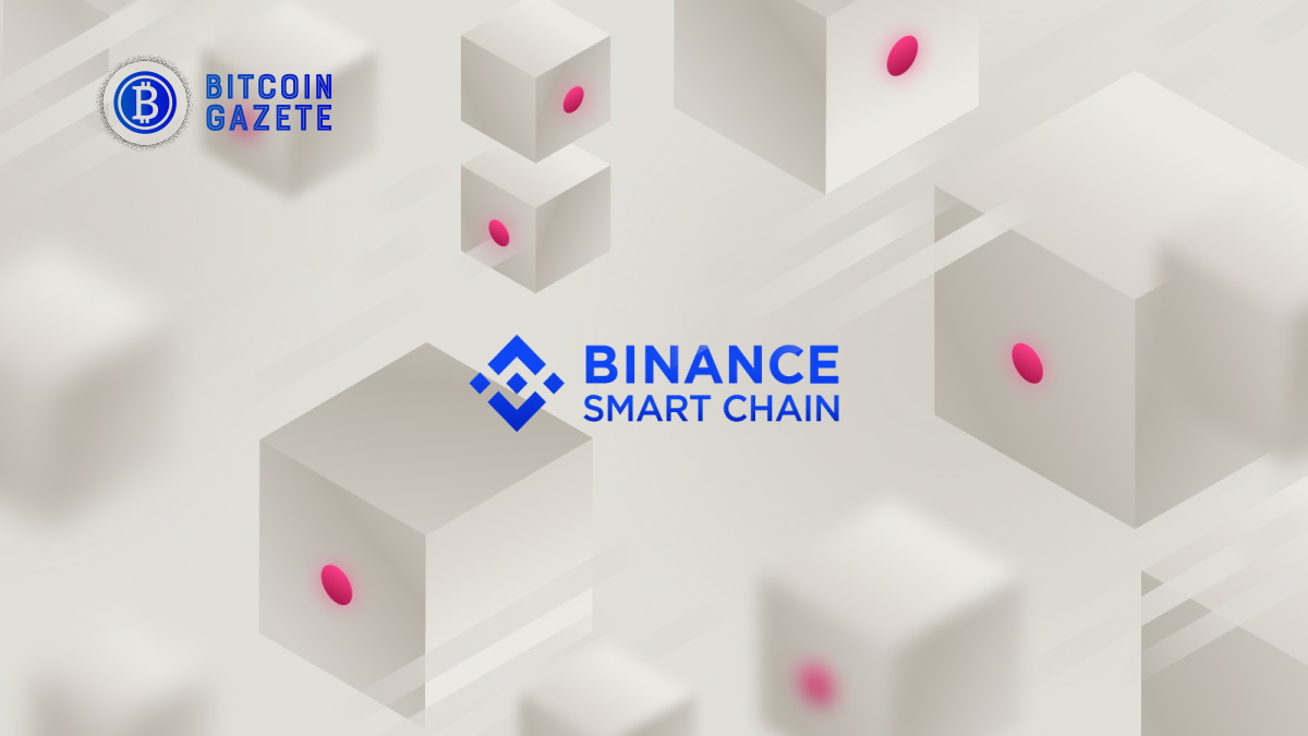 Güvenlik Firması PeckShield, Binance Smart Chain’de 50 Potansiyel Dolandırıcılık Belirteci Tespit Etti