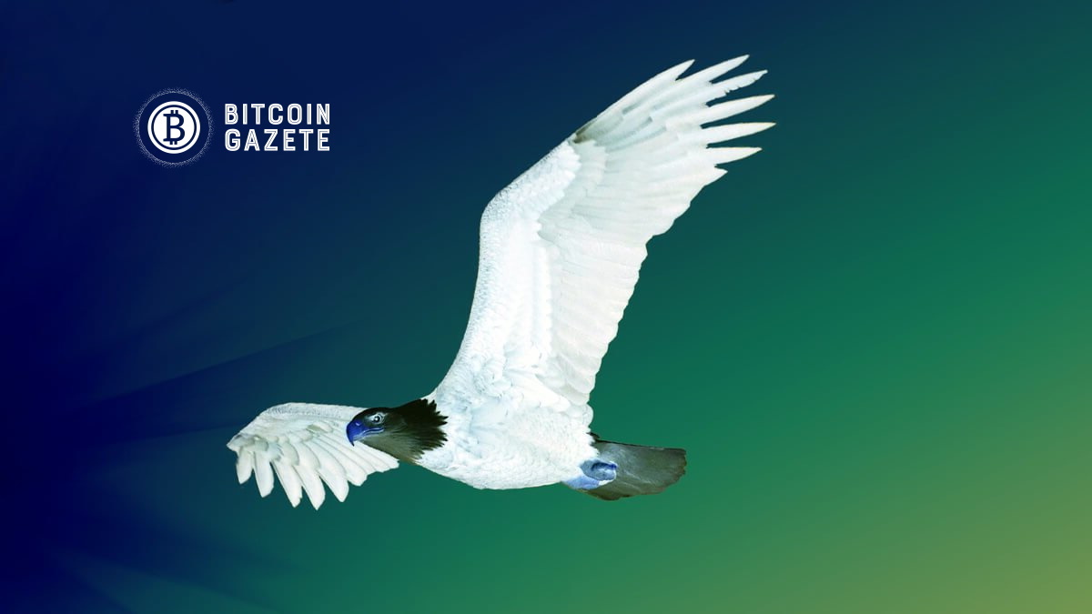 Kripto Stratejisti, ABD Menkul Kıymetler Borsası Yükseliş Sinyalleri Verirken Bitcoin’in (BTC) Bir Sıçramaya Hazırlandığını Söyledi