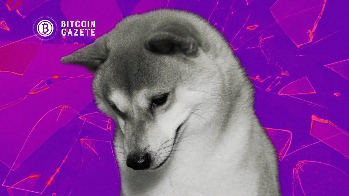 Shiba Inu Karlılık Oranı Yüzde 44’e Düşerek Token’ı Sahiplerin Çoğunluğu İçin Karsız Hale Getirdi