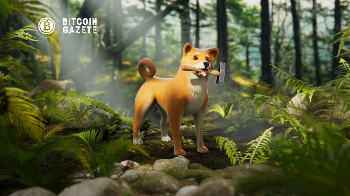 Shiba Inu Önümüzdeki Günlerde Dört Büyük Projeyi Sunacak; İşte Yenilikler