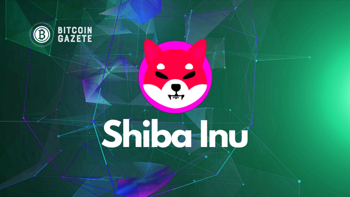 Shiba Inu (SHIB) Sahipleri Sadece On Gün Içinde Yaklaşık 55.000 Sahibini Kaybetti