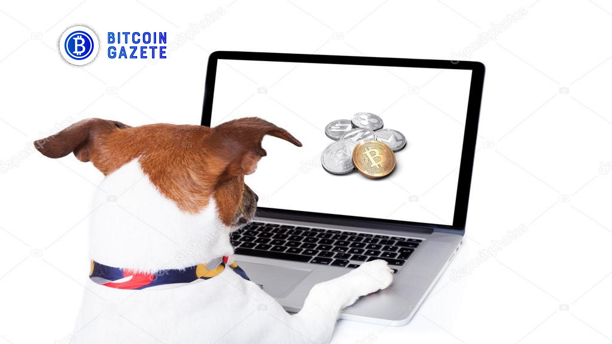 SHIB ve 8 Altcoinden İyi Haber: 2 Borsa Listeliyor!