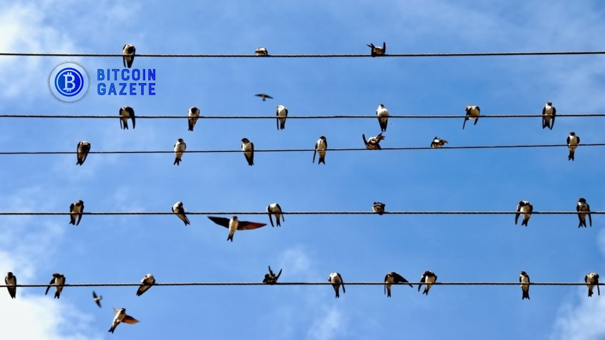 Çin Polisi 16 Milyon Dolarlık Kripto Piramit Planını Kırdı