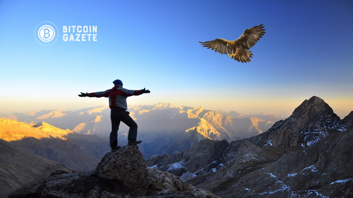 Bitcoin [BTC]: Güçlü bir toparlanma olasılığına işaret eden birkaç sinyal