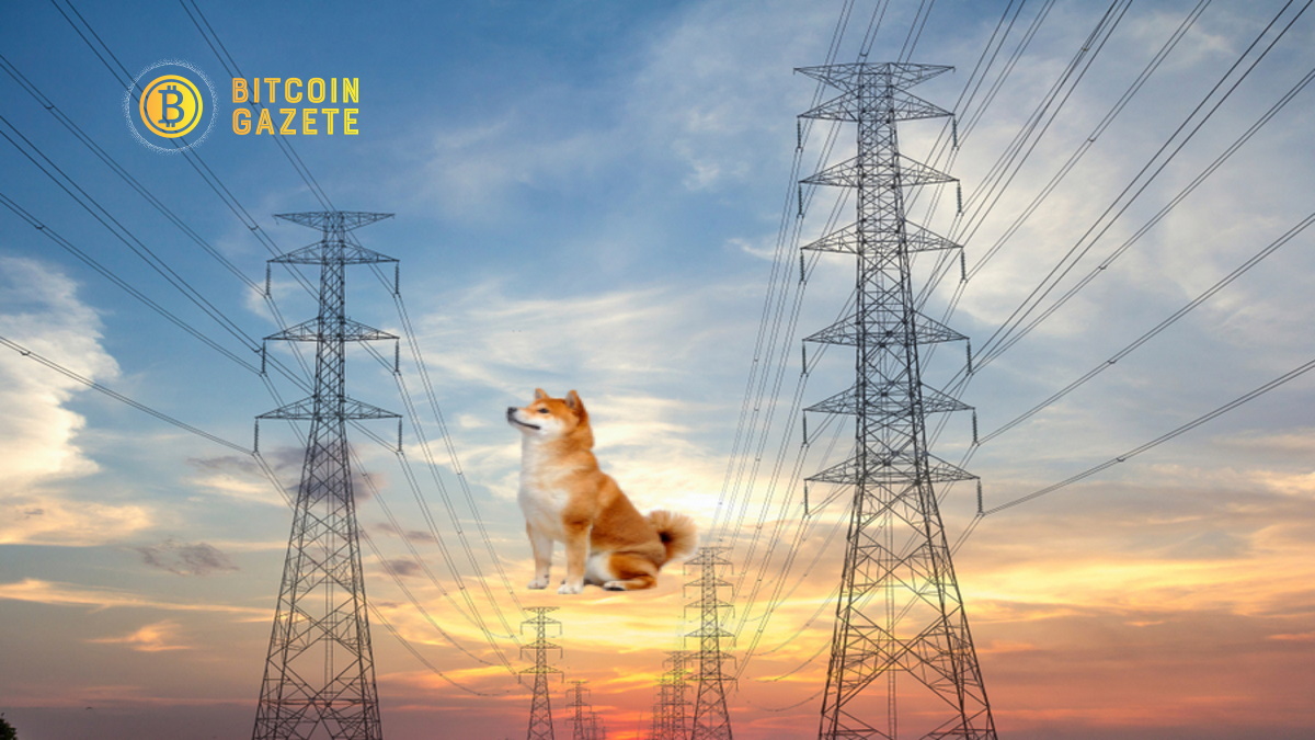 SHIB Ödemeleri Artık Avustralya Enerji Şirketi Tarafından BitPay Üzerinden Kabul Ediliyor