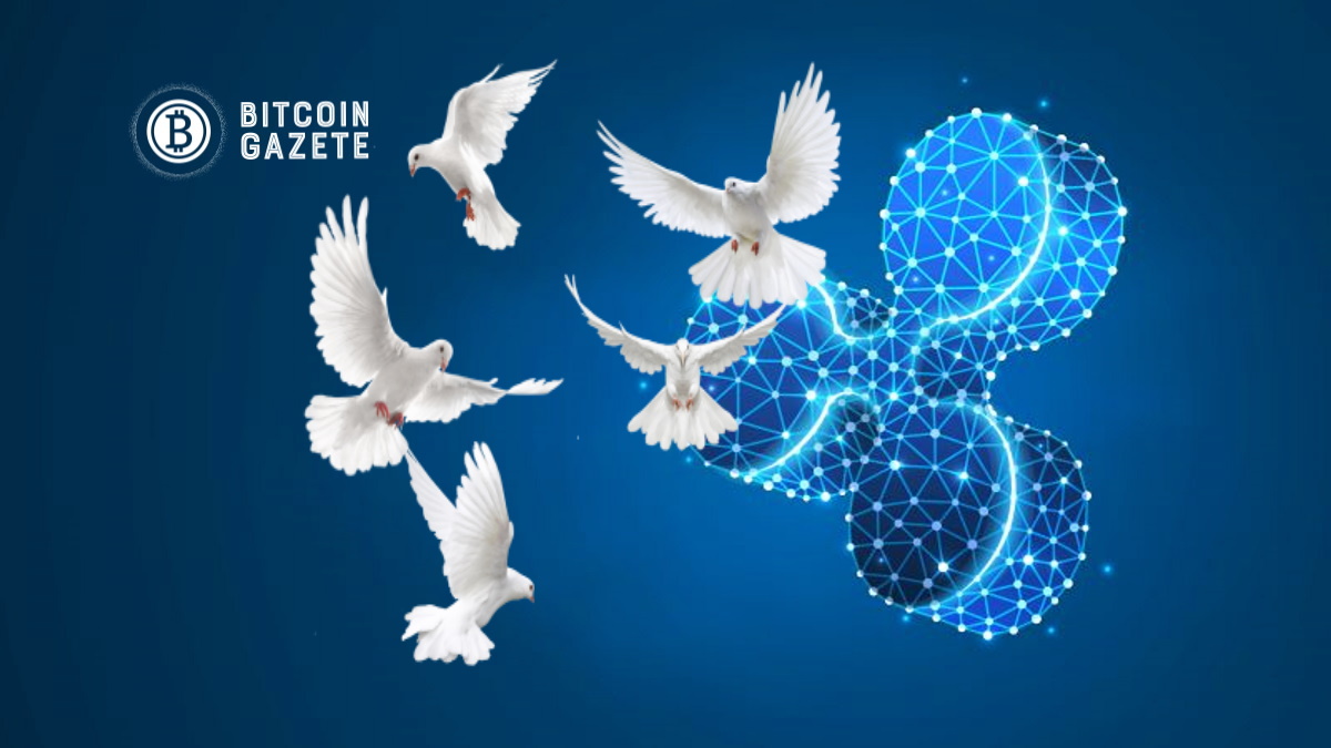 Ripple’ın (XRP) Fiyatı Bir Piyasa Çöküşü Ortasında Neden Artıyor?