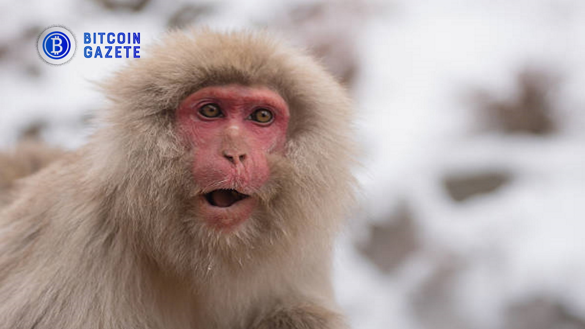 APE’nin aşırı oynaklığı endişe kaynağı olacak mı?