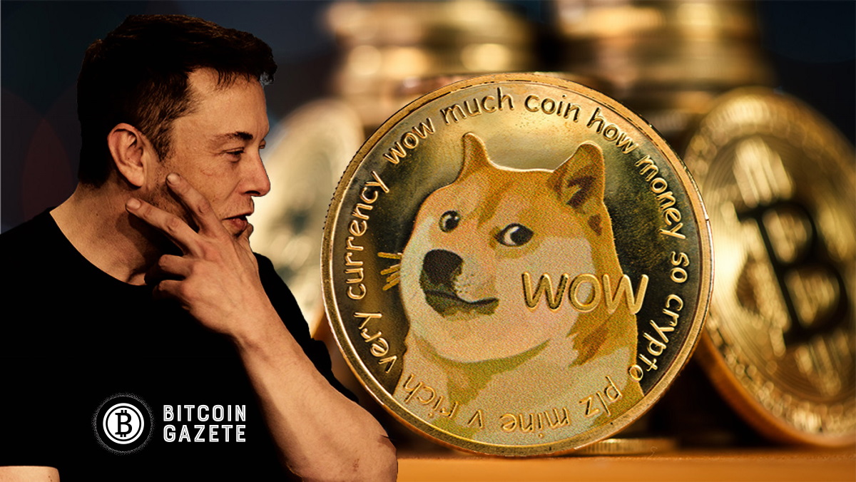 dogecoin fiyat