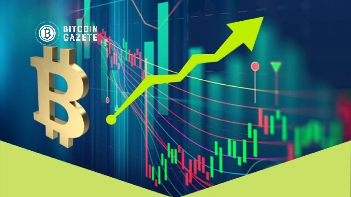 Bitcoin Analiz 7 Temmuz 2021