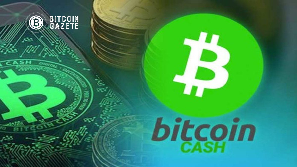 Bitcoin Cash Fiyat Analizi