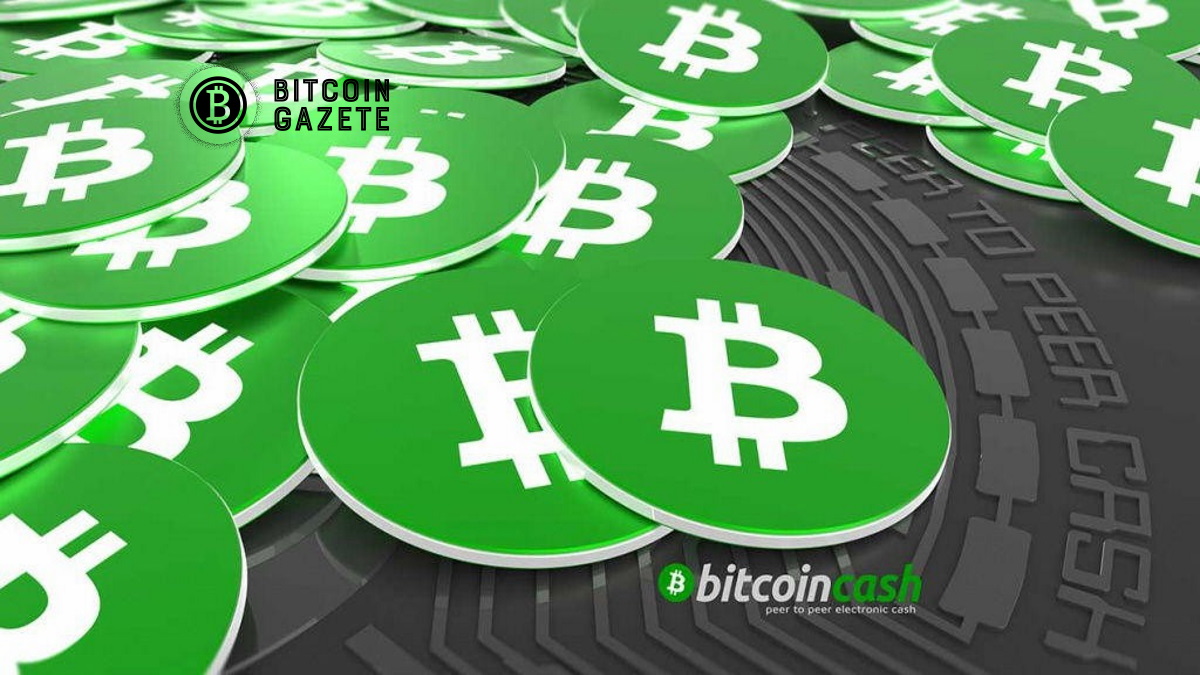 Bitcoin-Cash-Fiyat-Analizi